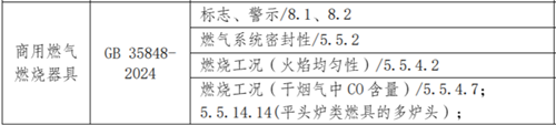 商用燃?xì)饩邫z測(cè)項(xiàng)目1